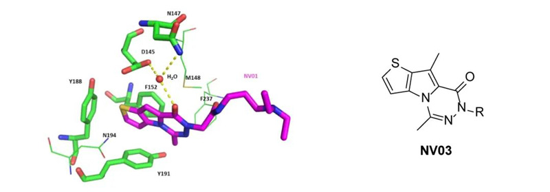 Figure 4: Action mode of NV01 and the optimized structure, NOV03