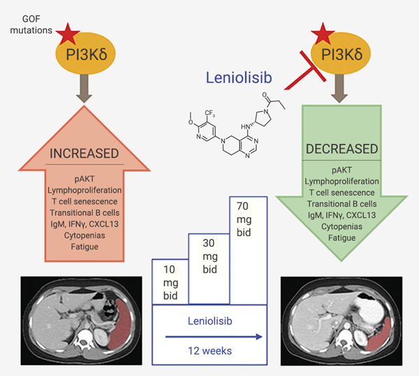 Fig 7. Effective Targeted Therapies for APDS