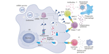 Nobel Prize 2023: mRNA vaccine technology to fight COVID-19
