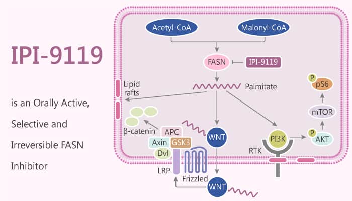 IPI-9119 is an Orally Active, Selective and Irreversible FASN Inhibitor