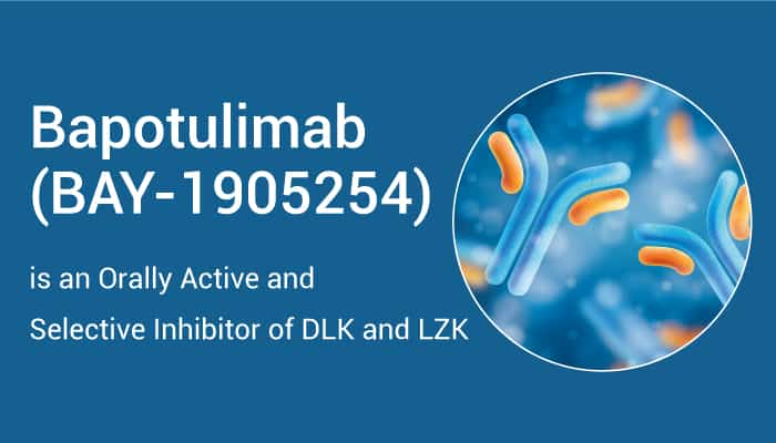 Bapotulimab (BAY-1905254) is an IgG2 Antibody Targeting ILDR2