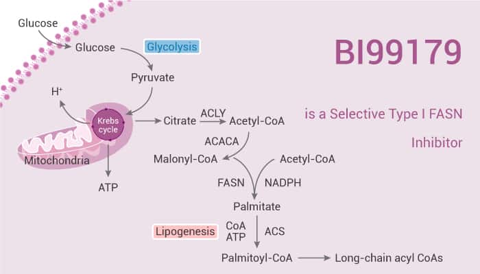 BI99179 is a Selective Type I FASN Inhibitor