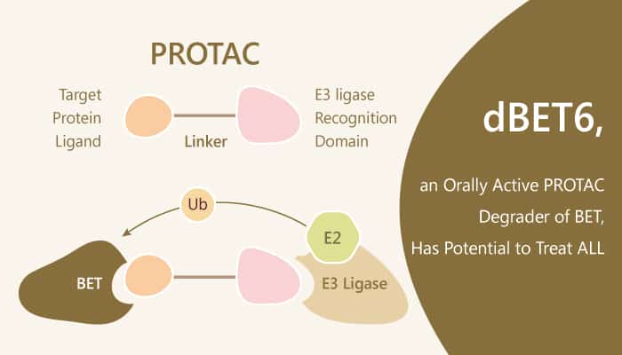 dBET6, an Orally Active PROTAC Degrader of BET, Has Potential to Treat ALL