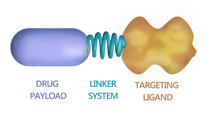 EC0489, a SMDC for Cancer Therapy