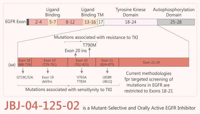 JBJ-04-125-02 is a Mutant-Selective and Orally Active EGFR Inhibitor