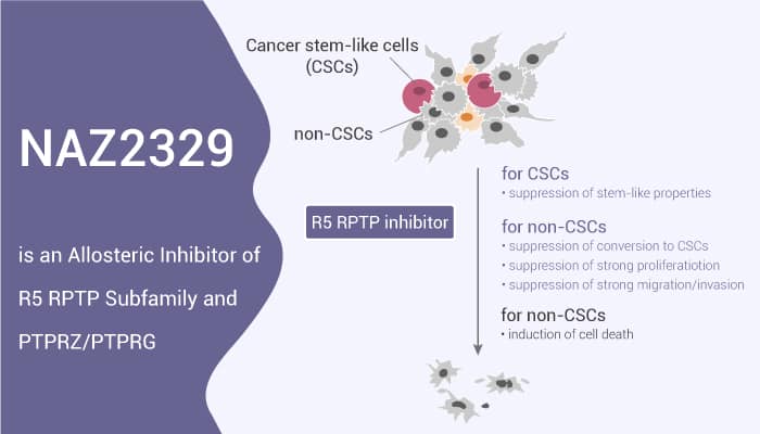 NAZ2329 is an Allosteric Inhibitor of R5 RPTP Subfamily and PTPRZ/PTPRG