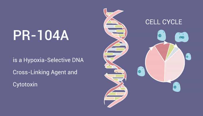 PR-104A is a Hypoxia-Selective DNA Cross-Linking Agent and Cytotoxin