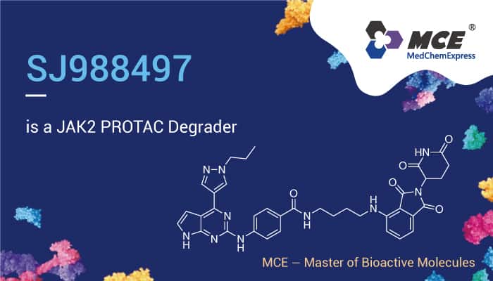 SJ988497, a PROTAC JAK2 Degrader, used for Acute Lymphoblastic Leukemia Research