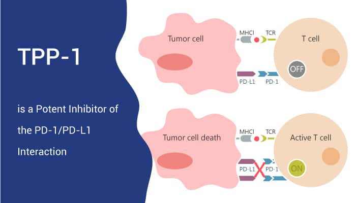 TPP-1 is a Potent Inhibitor of the PD-1/PD-L1 Interaction