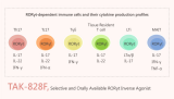 TAK-828F is a Potent, Selective and Orally Active RORγt Inverse Agonist