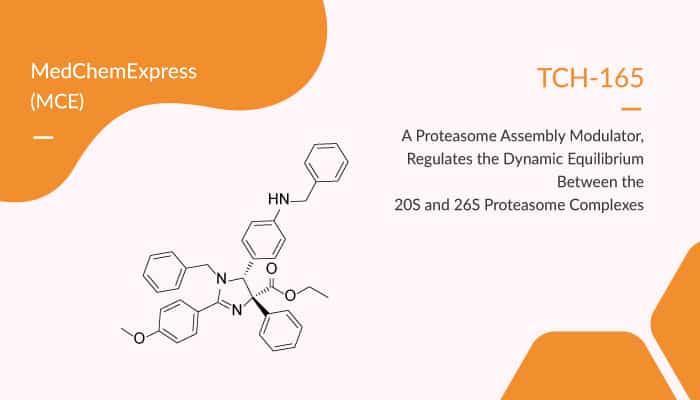 TCH-165, a Proteasome Assembly Modulator, Regulates the Dynamic Equilibrium between the 20S and 26S Proteasome Complexes
