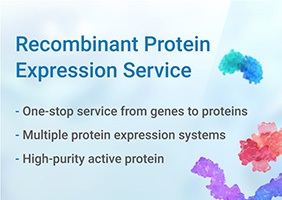 Recombinant Protein Expression Service